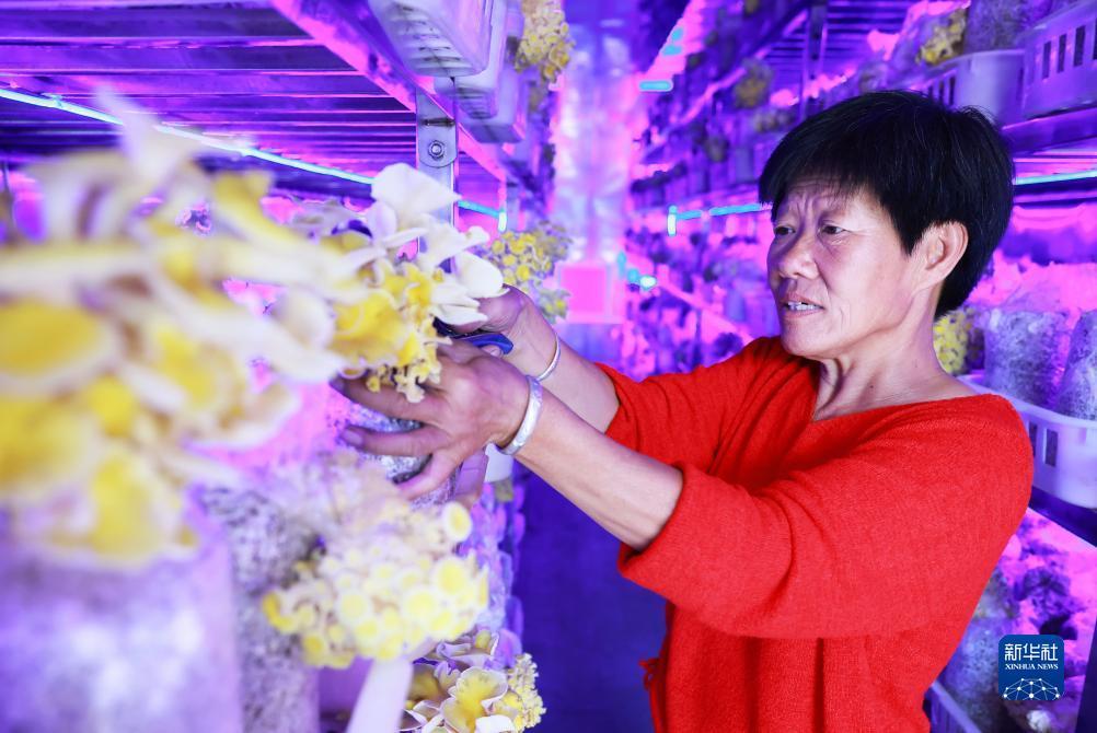 澳门捕鱼娱乐